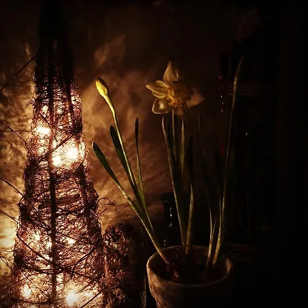 Au Delà Du Temps Alojamento de Acomodação e Pequeno-almoço 3*