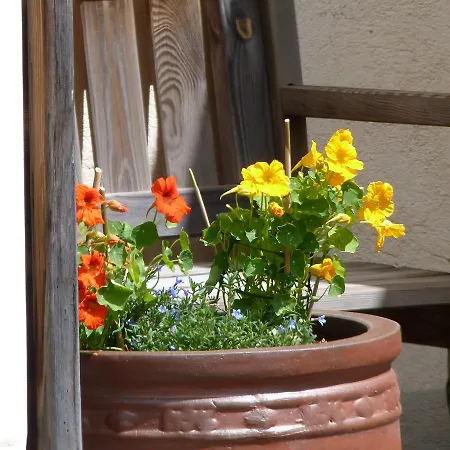 Alojamento de Acomodação e Pequeno-almoço Au Delà Du Temps Saint-Mamet