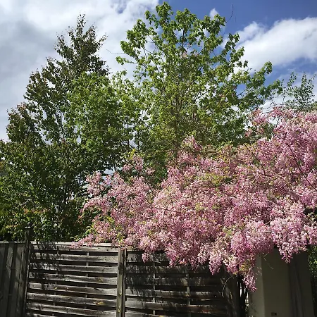 Alojamento de Acomodação e Pequeno-almoço Au Delà Du Temps Saint-Mamet