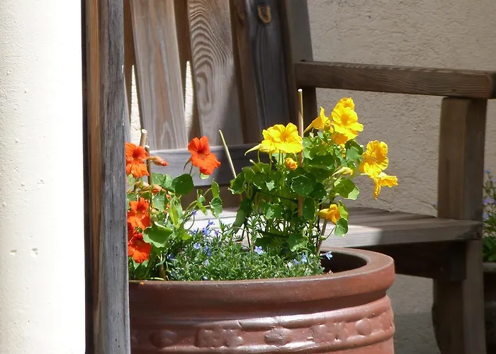 Bed & Breakfast Au Dela Du Temps Saint-Mamet